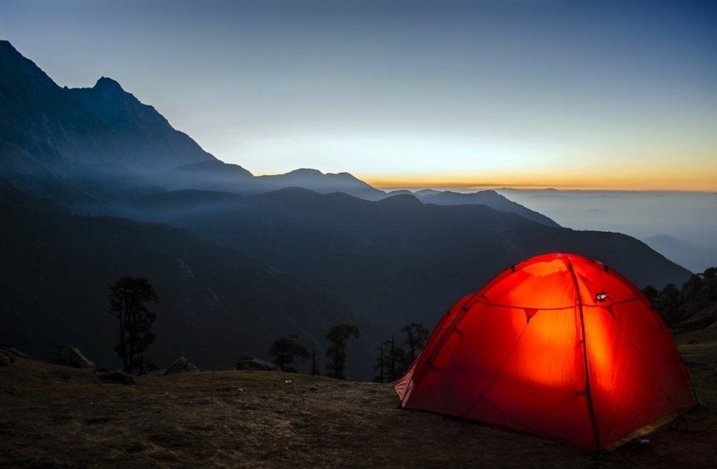 guía para saber qué carpa comprar